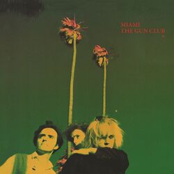 Bad Indian [Live] album art
