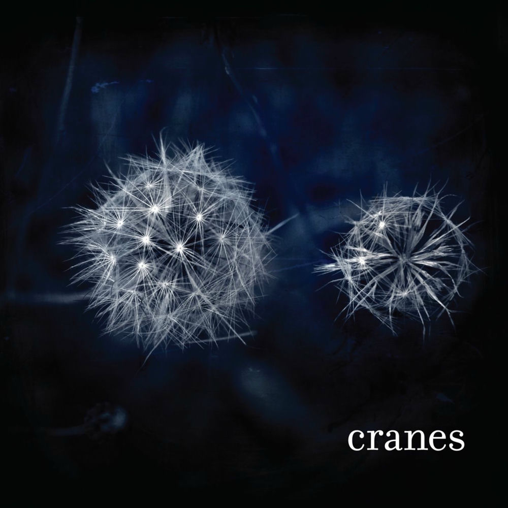 Loved album art