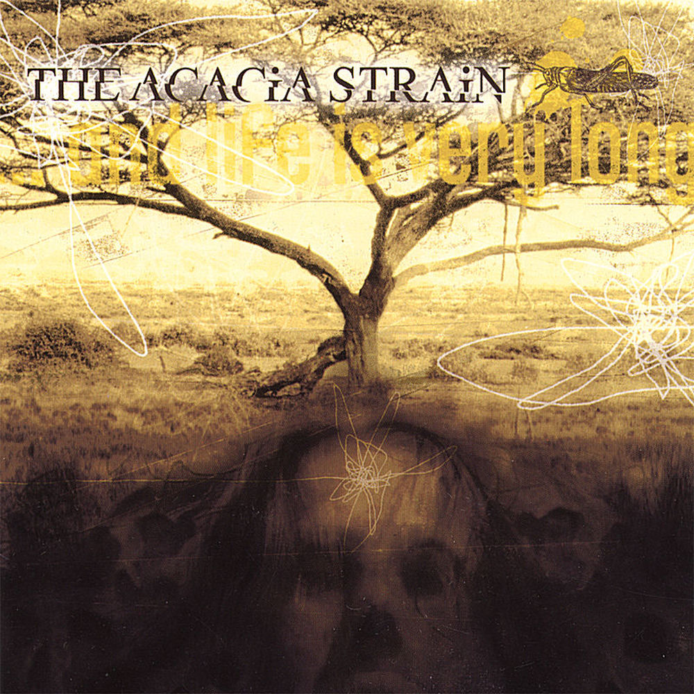 All She Wrote album art
