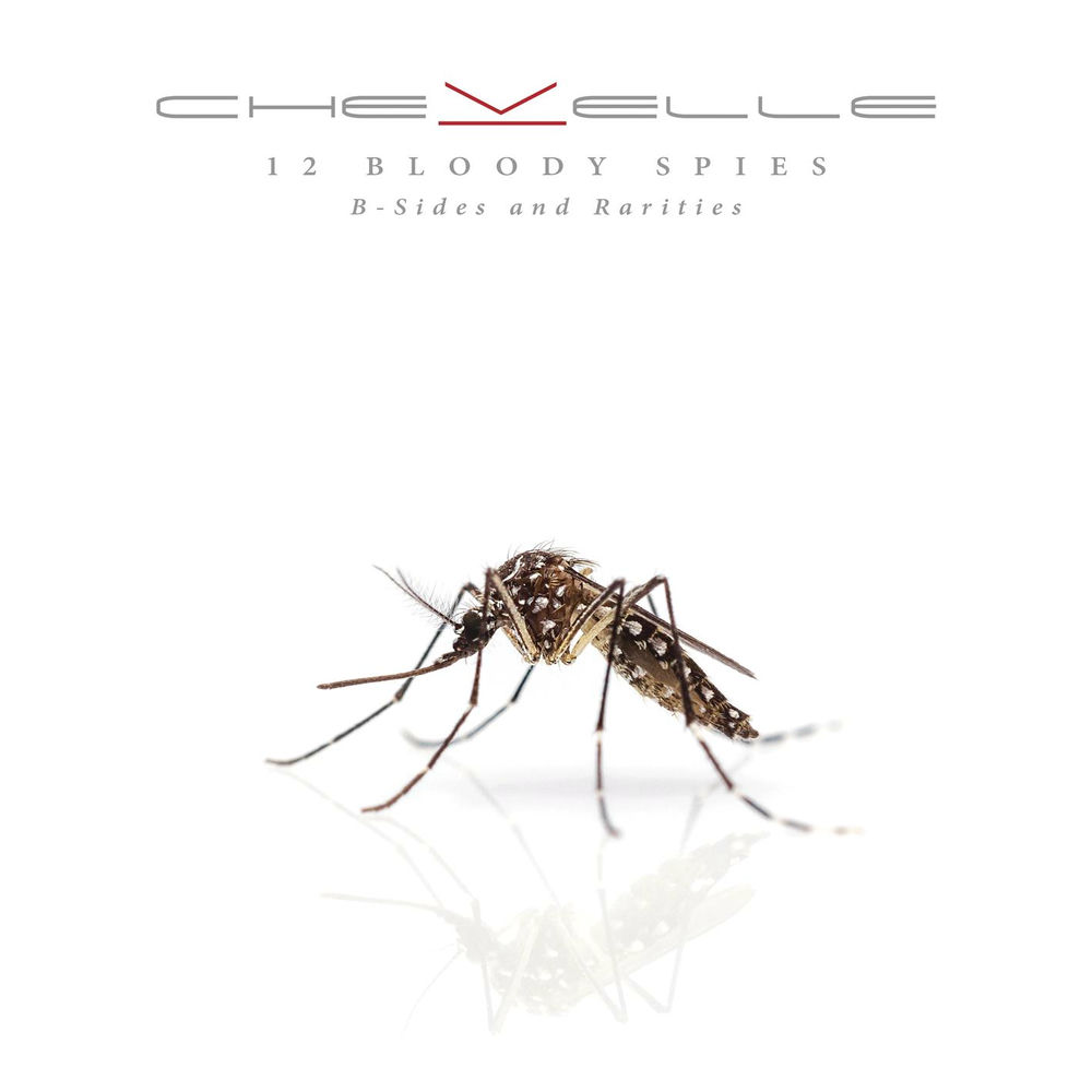 Fizgig album art