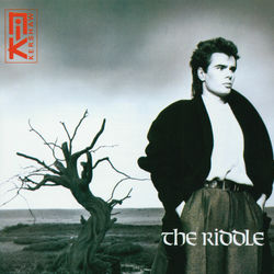 Wild Horses album art
