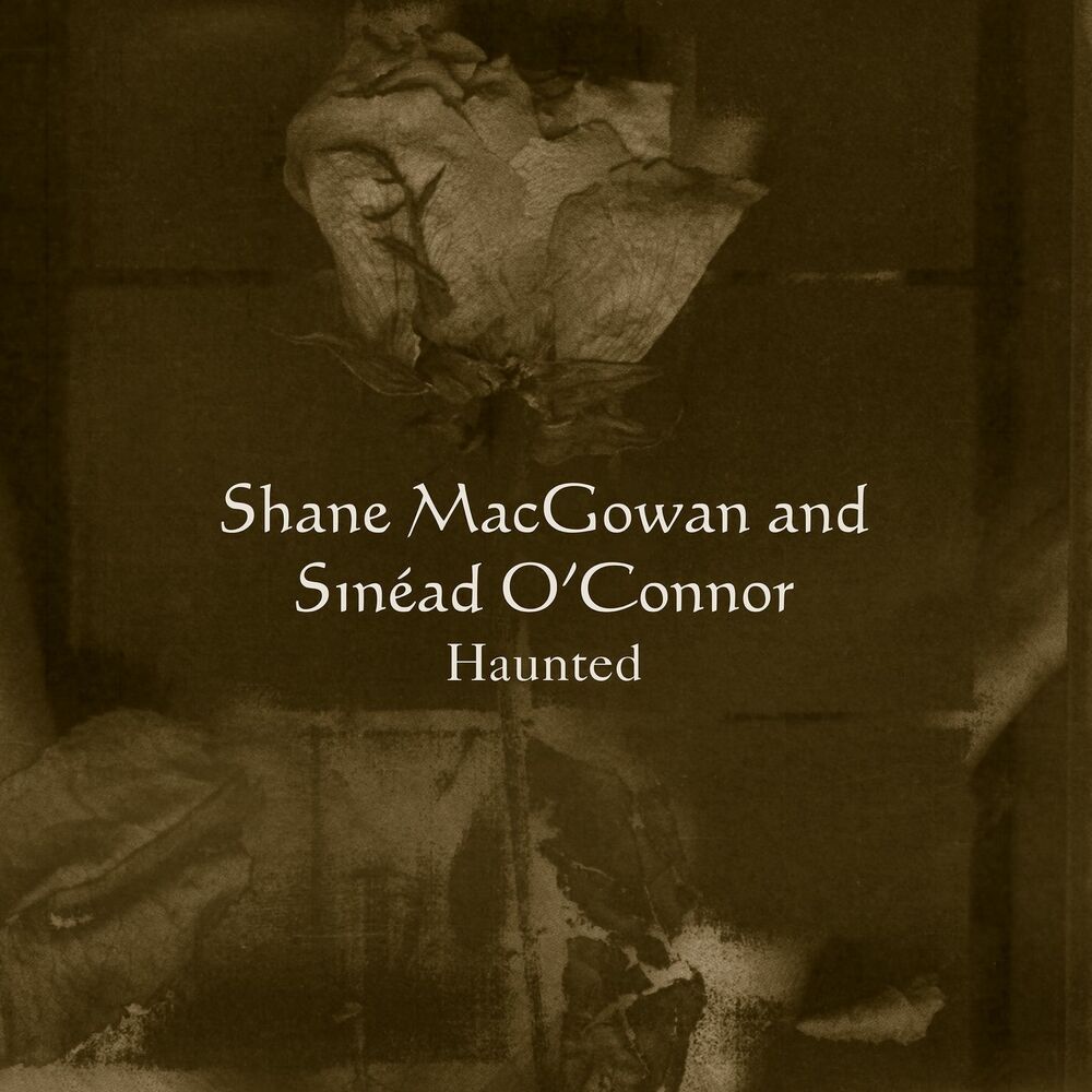 Haunted album art