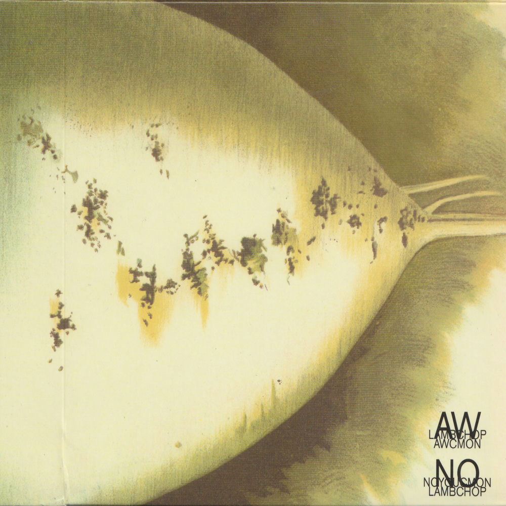 Nothing But A Blur From A Bullet Train album art