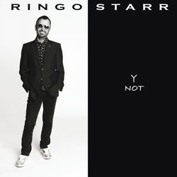 Y Not album art