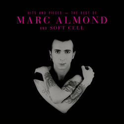 Something's Gotten Hold Of My Heart album art