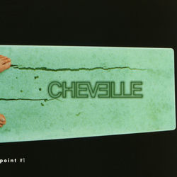 Skeptic album art