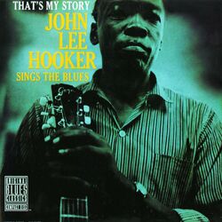 Gonna Use My Rod album art
