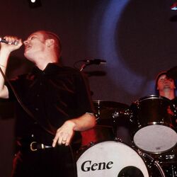 Gene