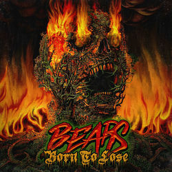 Bears
